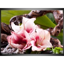 Foto canvas schilderij Bloem | Wit, Roze, Groen 