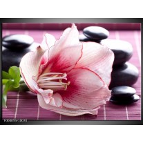 Foto canvas schilderij Bloem | Wit, Roze, Groen 