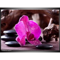 Glas schilderij Orchidee | Paars, Zwart, Bruin 