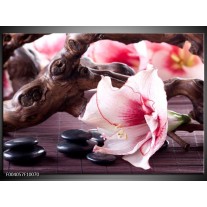 Foto canvas schilderij Bloem | Wit, Roze, Zwart 