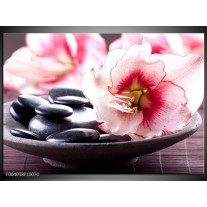 Foto canvas schilderij Bloem | Wit, Roze, Zwart 