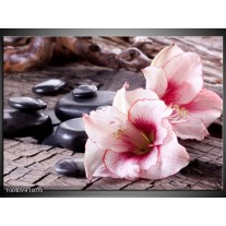 Foto canvas schilderij Bloem | Wit, Roze, Zwart 