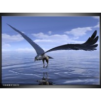 Foto canvas schilderij Vogel | Blauw, Wit 