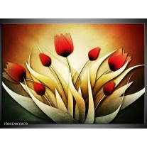 Foto canvas schilderij Tulp | Geel, Wit, Rood 