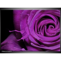 Foto canvas schilderij Roos | Paars, Zwart 