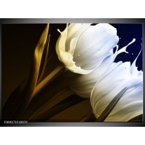 Foto canvas schilderij Tulp | Wit, Groen, Blauw 