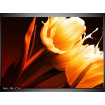 Foto canvas schilderij Tulp | Geel, Oranje, Bruin 