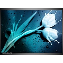 Glas schilderij Tulp | Blauw, Wit 
