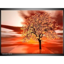 Foto canvas schilderij Boom | Geel, Rood, Zwart 