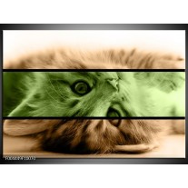 Foto canvas schilderij Kat | Groen, Bruin 