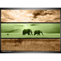 Glas schilderij Olifant | Groen, Bruin 