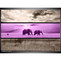 Foto canvas schilderij Olifant | Paars, Bruin 