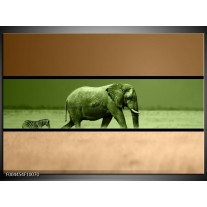 Glas schilderij Olifant | Groen, Bruin 