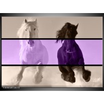 Glas schilderij Paard | Paars, Zwart, Grijs 