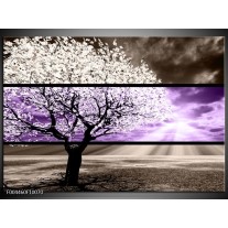 Foto canvas schilderij Boom | Paars, Groen, Zwart 