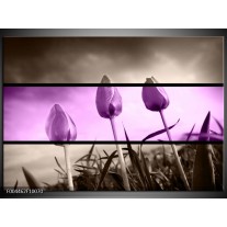 Foto canvas schilderij Tulp | Paars, Grijs, Zwart 