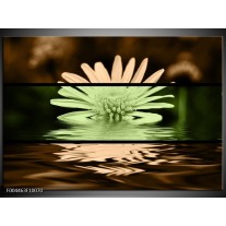 Foto canvas schilderij Bloem | Groen, Bruin, Zwart 