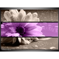 Foto canvas schilderij Bloem | Paars, Grijs, Zwart 