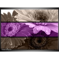 Foto canvas schilderij Bloem | Paars, Grijs 