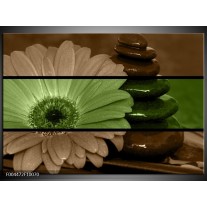 Foto canvas schilderij Bloem | Groen, Bruin 