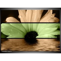 Foto canvas schilderij Bloem | Bruin, Groen, Zwart 