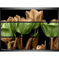 Foto canvas schilderij Tulp | Groen, Bruin, Zwart 