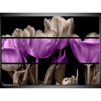 Foto canvas schilderij Tulp | Paars, Grijs, Zwart 