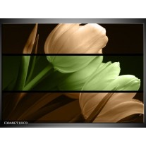 Foto canvas schilderij Tulp | Groen, Bruin, Zwart 