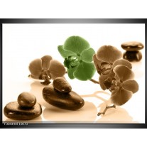 Foto canvas schilderij Orchidee | Groen, Bruin, Wit 