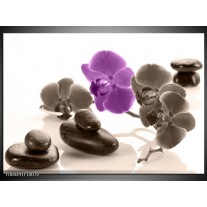 Glas schilderij Orchidee | Paars, Grijs, Wit 