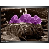 Foto canvas schilderij Orchidee | Paars, Grijs 