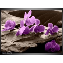 Glas schilderij Orchidee | Paars, Grijs 