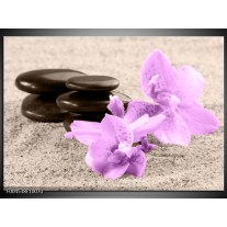 Glas schilderij Orchidee | Paars, Grijs, Zwart 