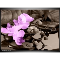 Glas schilderij Orchidee | Paars, Grijs 