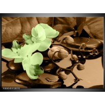 Glas schilderij Orchidee | Groen, Bruin 