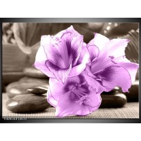 Foto canvas schilderij Orchidee | Paars, Grijs 