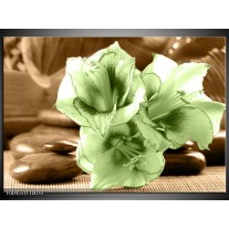 Foto canvas schilderij Orchidee | Groen, Bruin 