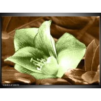 Foto canvas schilderij Bloem | Groen, Bruin 