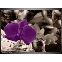 Foto canvas schilderij Orchidee | Paars, Grijs 