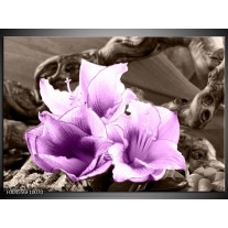 Glas schilderij Bloem | Paars, Grijs 