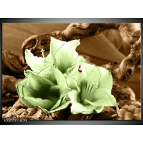 Glas schilderij Bloem | Groen, Bruin 