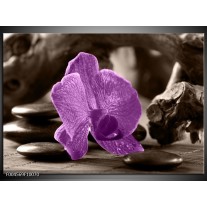 Foto canvas schilderij Orchidee | Paars, Grijs 