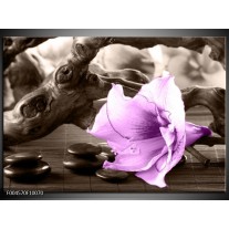 Foto canvas schilderij Orchidee | Paars, Grijs 