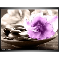 Foto canvas schilderij Orchidee | Paars, Grijs 