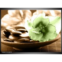 Foto canvas schilderij Orchidee | Groen, Bruin 