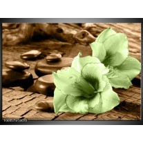 Foto canvas schilderij Orchidee | Groen, Bruin 