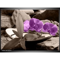 Foto canvas schilderij Orchidee | Paars, Grijs 