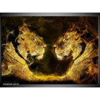 Foto canvas schilderij Leeuw | Geel, Wit, Groen 
