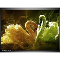 Foto canvas schilderij Zwaan | Geel, Wit, Groen 