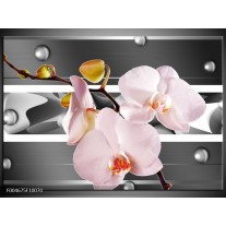 Glas schilderij Orchidee | Grijs, Roze, Wit 